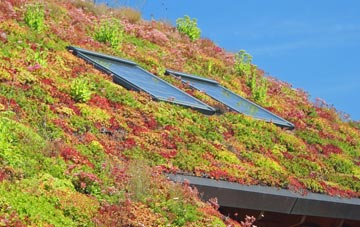 Sturminster Newton living roof systems