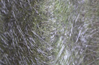 Sturminster Newton fibreglass roof work